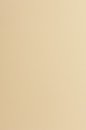 US Letter Papier farbig 170g - sand braun