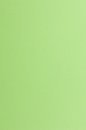 Farbiges Papier (FSC&reg;) 250g/m&sup2; - DIN A4 / maigr&uuml;n