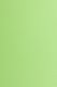 Farbiges Papier (FSC®) 250g/m² - DIN A4 / maigrün