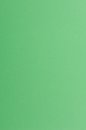 Farbiges Papier (FSC&reg;) 250g/m&sup2; - DIN A4 / grasgr&uuml;n