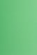 Farbiges Papier (FSC®) 250g/m² - DIN A4 / grasgrün