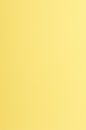 Farbiges Papier (FSC&reg;) 250g/m&sup2; - DIN A3 / kanariengelb