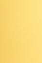 Farbiges Papier (FSC&reg;) 250g/m&sup2; - DIN A3 / altgold