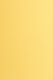 Farbiges Papier (FSC®) 250g/m² - DIN A3 / altgold