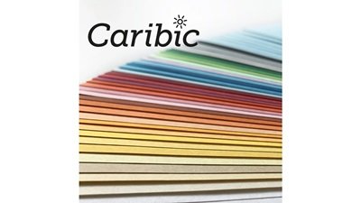Farbiges Papier (FSC®) 250g/m² - DIN A3 / zinnober