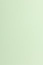 Farbiges Papier (FSC&reg;) 250g/m&sup2; - DIN A3 / gr&uuml;n
